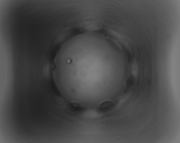 X0000100930519200807081215