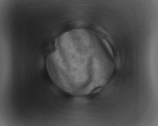 X0000100930520200807081215