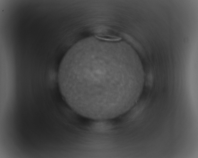 X0000100930521200807081215