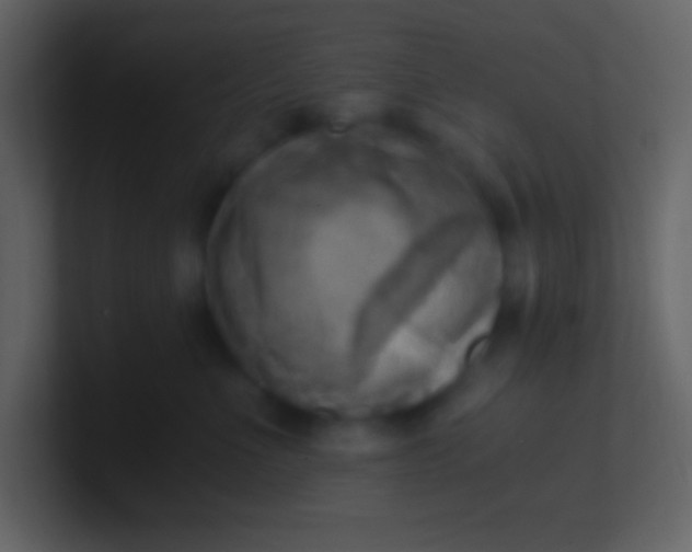 X0000100930523200807081215