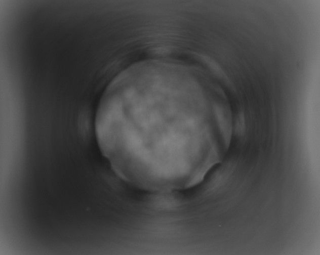 X0000100930524200807081215