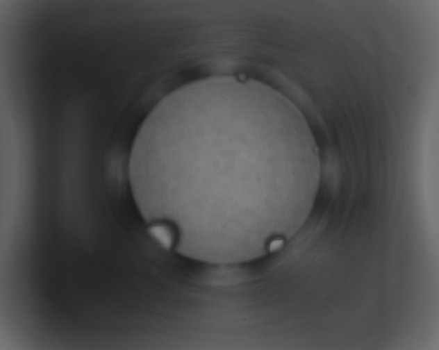 X0000100930525200807081215