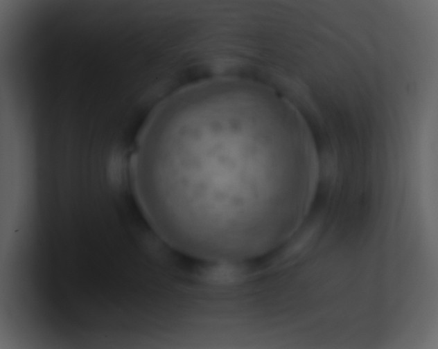 X0000100930527200807081215