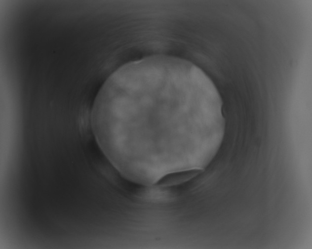 X0000100930528200807081215