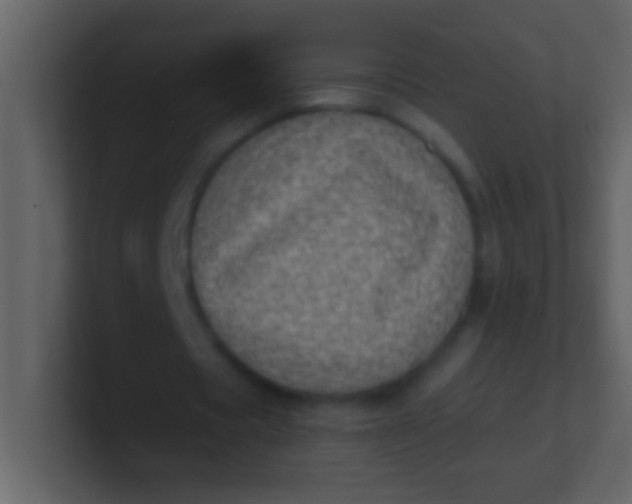 X0000100930529200807081215