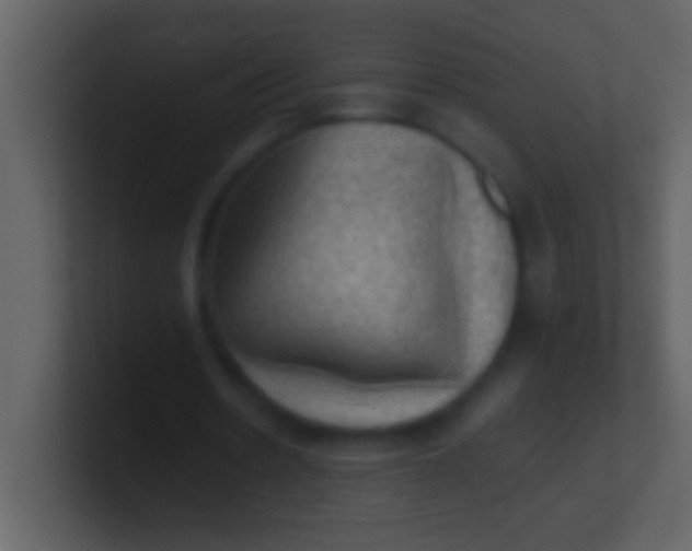 X0000100930530200807081215