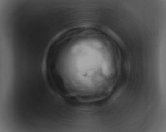 X0000100930532200807081215