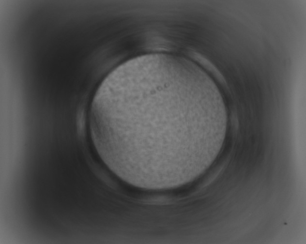 X0000100930533200807081215