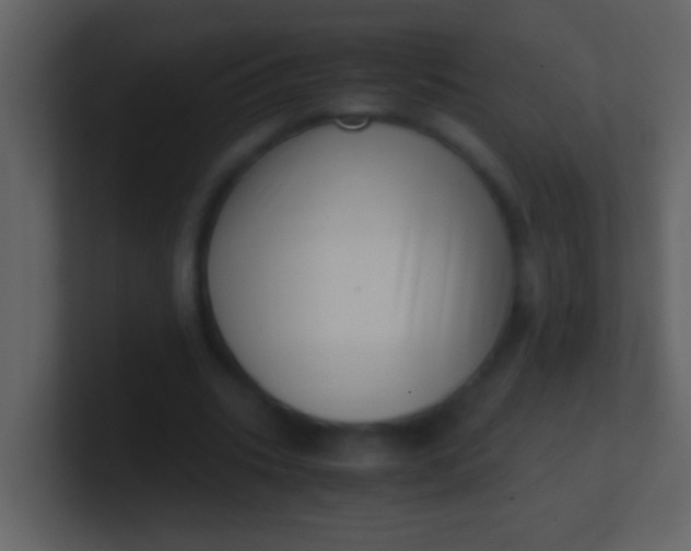 X0000100930535200807081215