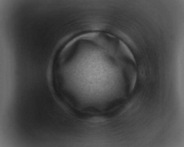 X0000100930536200807081215