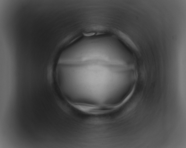 X0000100930538200807081215