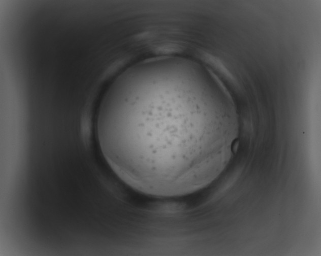 X0000100930539200807081215