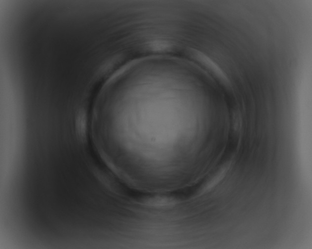 X0000100930542200807081215