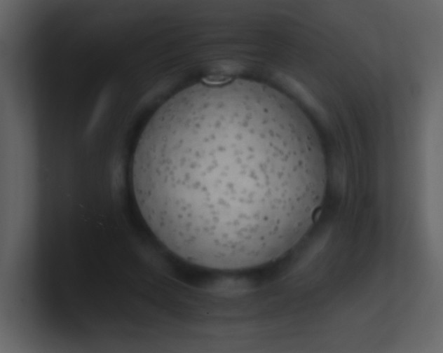 X0000100930543200807081215