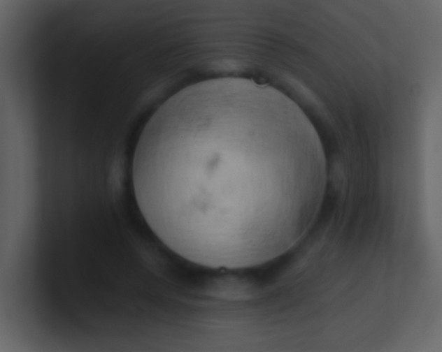 X0000100930544200807081215