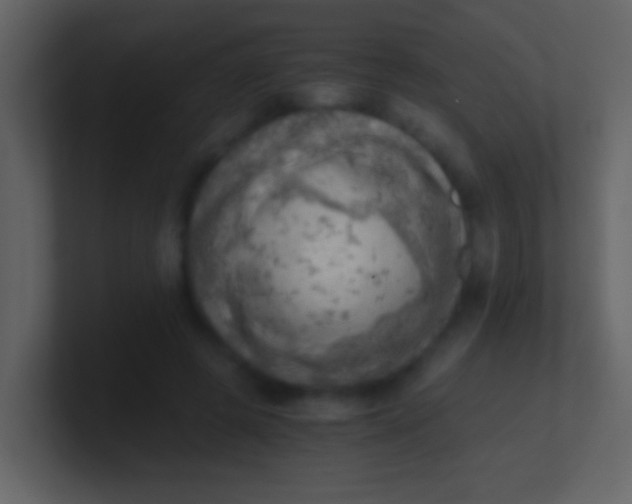 X0000100930545200807081215