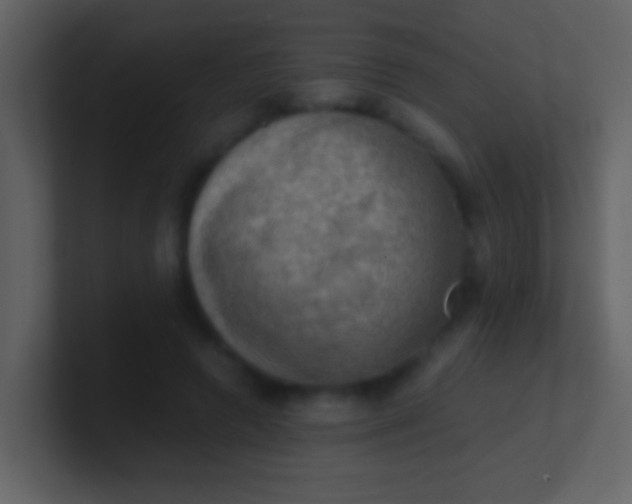 X0000100930546200807081215