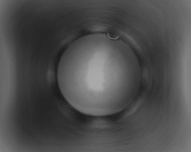 X0000100930547200807081215