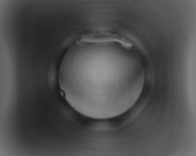 X0000100930548200807081215