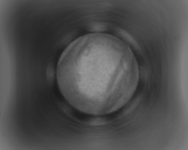 X0000100930549200807081215