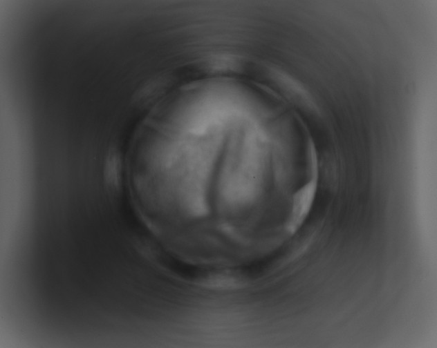 X0000100930550200807081215