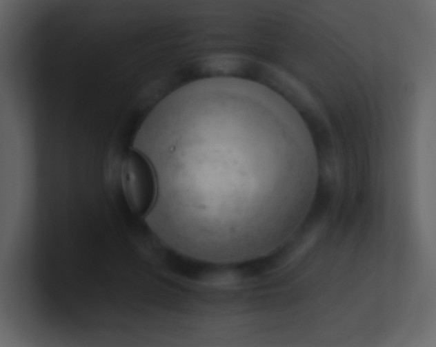 X0000100930551200807081215