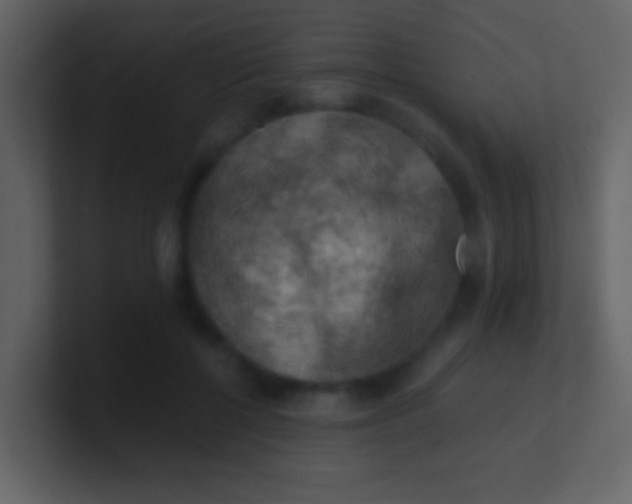 X0000100930552200807081215