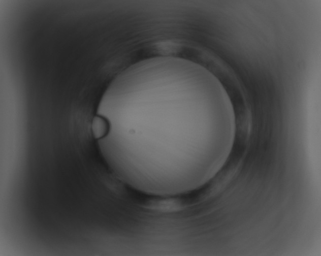 X0000100930553200807081215