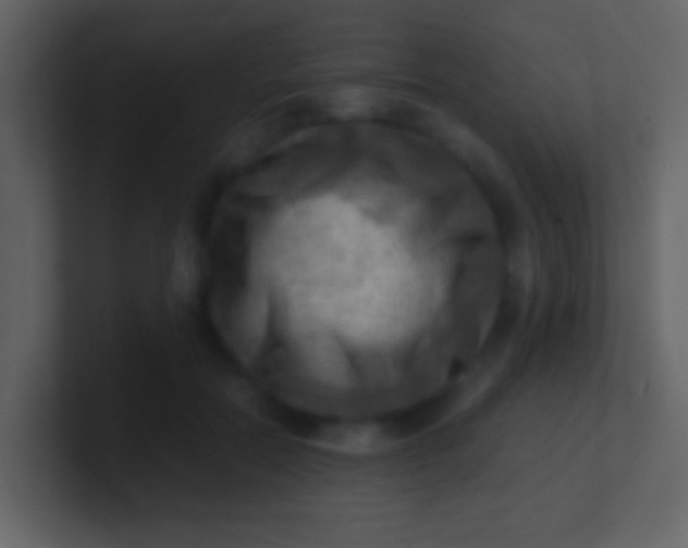 X0000100930554200807081215