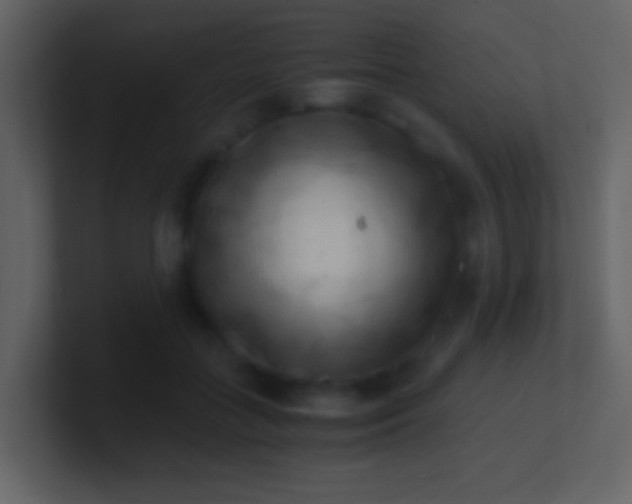 X0000100930555200807081215