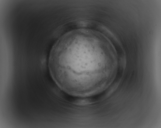 X0000100930557200807081215