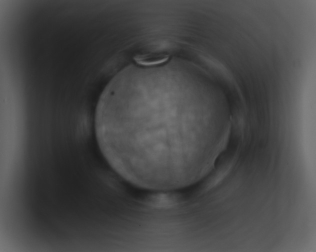 X0000100930558200807081215