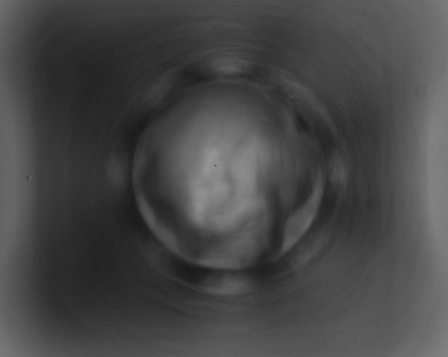 X0000100930559200807081215