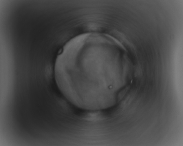 X0000100930560200807081215