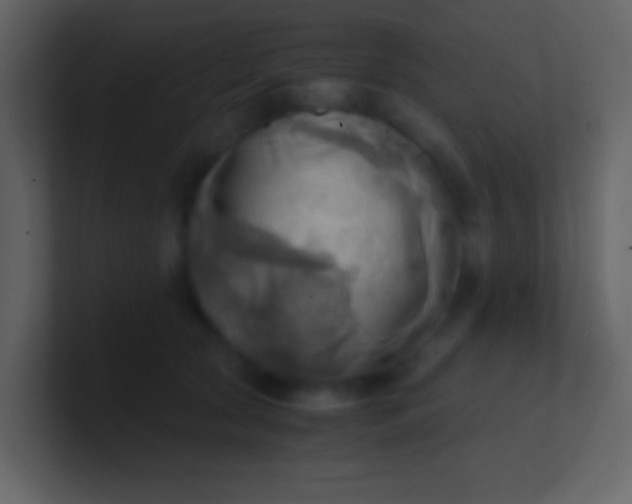 X0000100930561200807081215