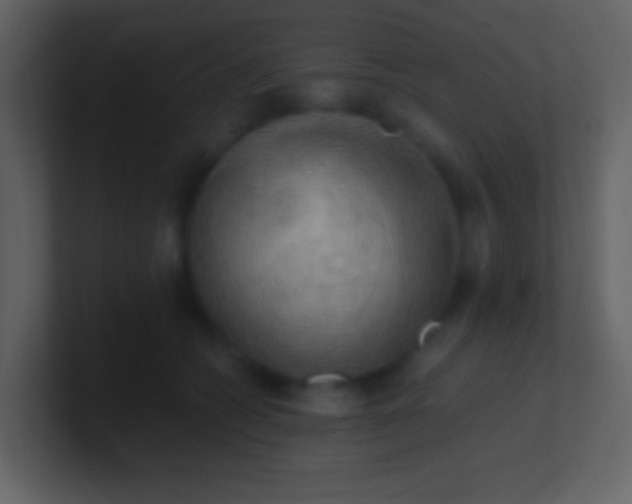 X0000100930562200807081215