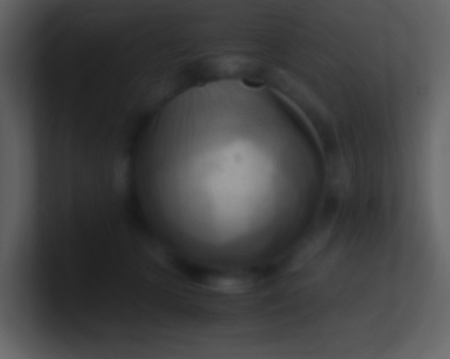 X0000100930563200807081215