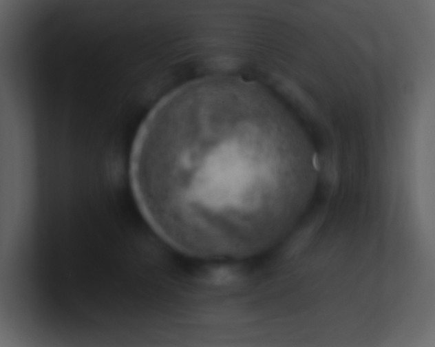 X0000100930564200807081215