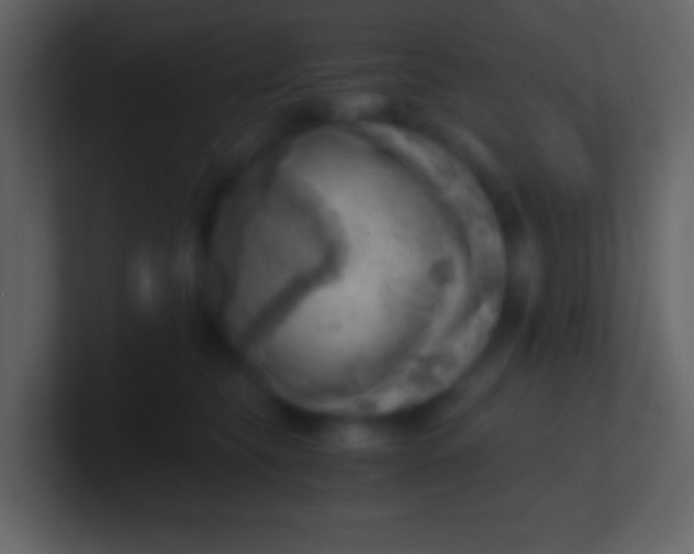 X0000100930565200807081215