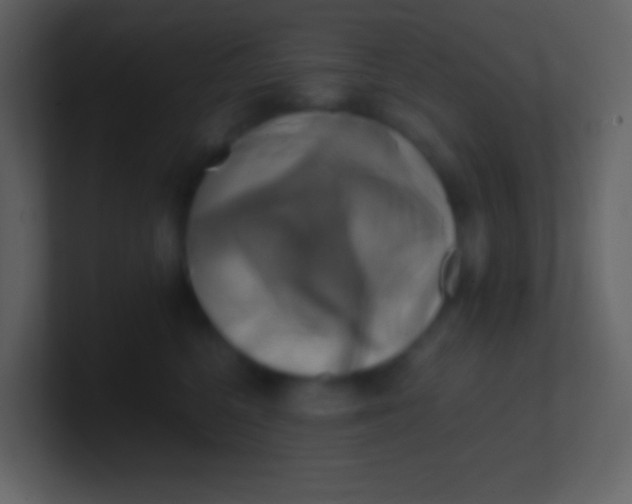 X0000100930568200807081215