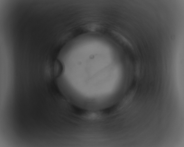 X0000100930569200807081215