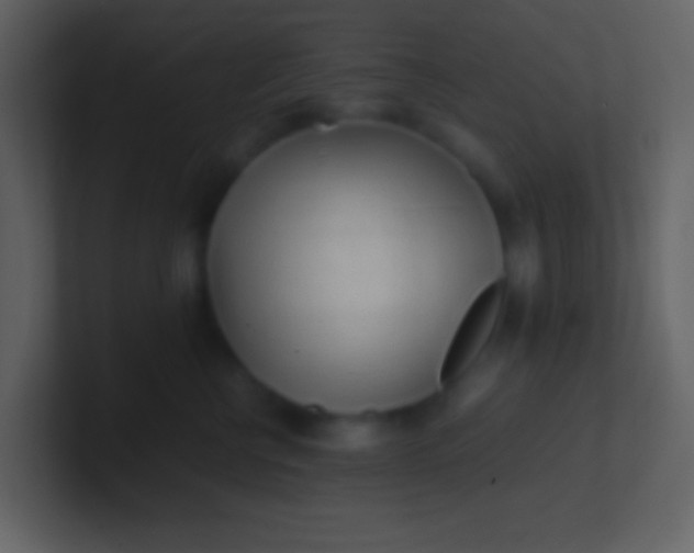 X0000100930570200807081215