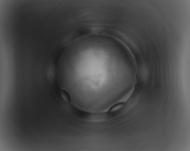 X0000100930571200807081215