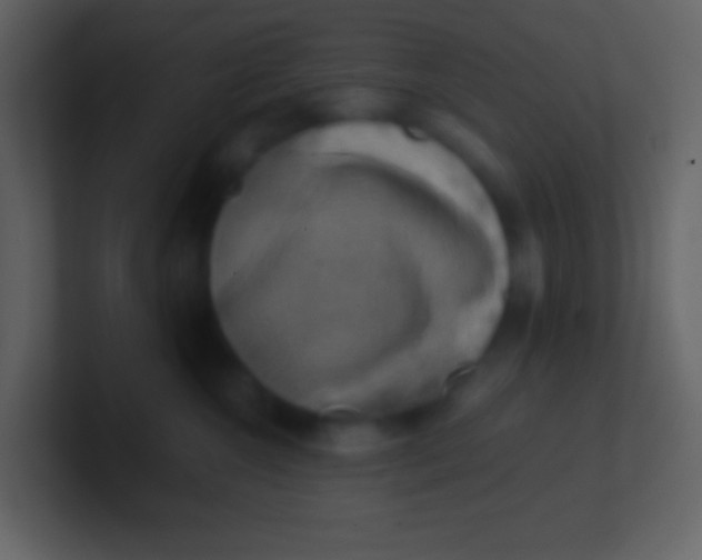 X0000100930572200807081215