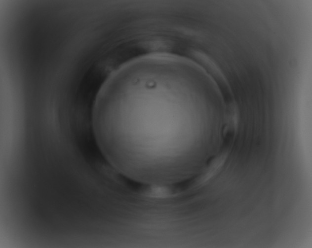 X0000100930573200807081215