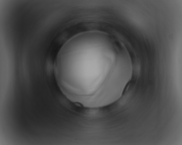 X0000100930574200807081215