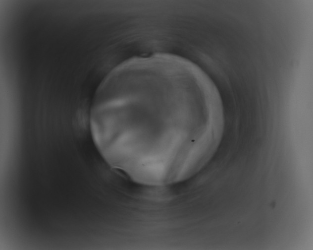 X0000100930576200807081215