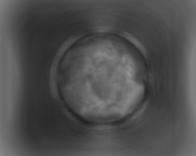 X0000100930577200807081215