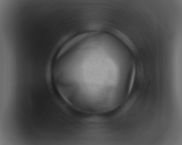 X0000100930578200807081215