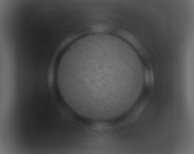 X0000100930579200807081215